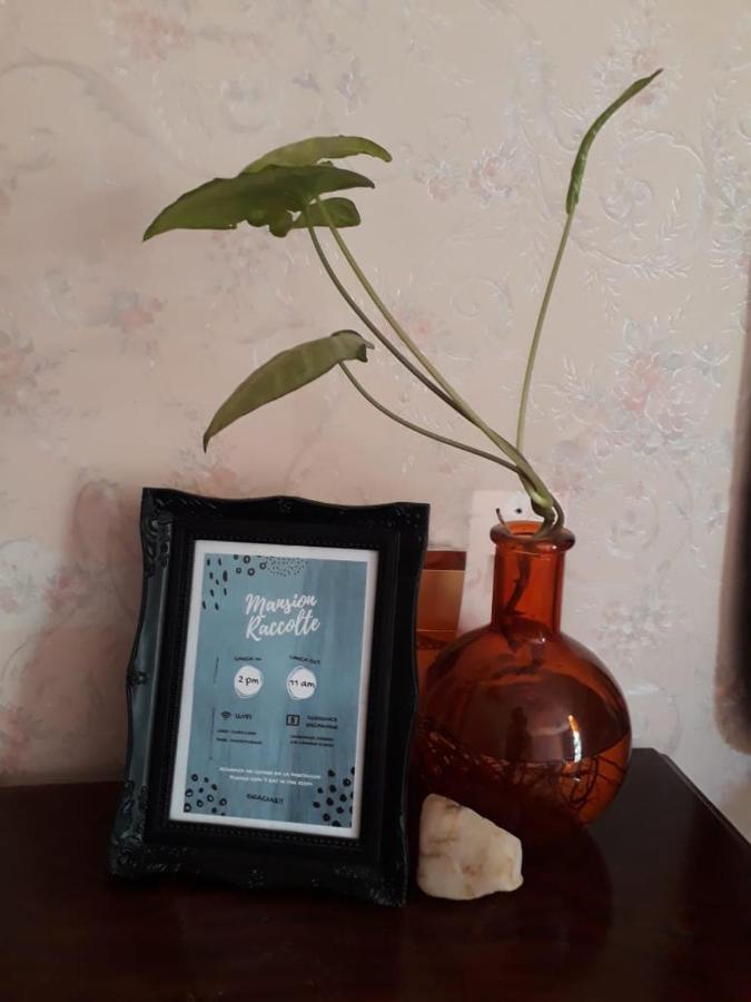 Mendoza - Bed & Brunch Διαμέρισμα Εξωτερικό φωτογραφία